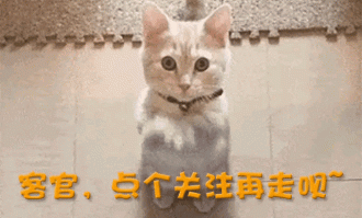 加盟德甲仅4月，28岁樊振东回归全运会，让人欣慰的一幕出现了