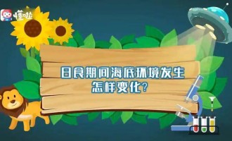 皇马补时绝杀利物浦，欧冠赛场再演惊天逆转