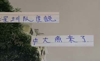 中超第29轮 申花打深圳更加难了！因为他们引进了一个英超射手