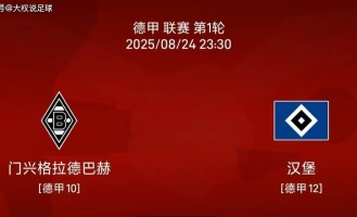 8.24 德甲联赛:门兴vs汉堡比赛分析