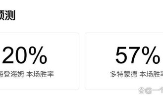 德甲战火重燃：海登海姆对阵多特蒙德，伤病满营大黄蜂能否顺利过关