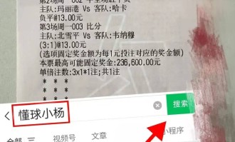 周日030法甲 南特VS巴黎圣日尔曼