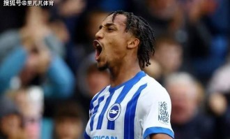 蓝军专挖海鸥？5000万英镑买入新中锋，三年在布莱顿这花了三亿欧