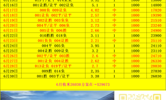塞伊奈约基VS科特卡：比分预测