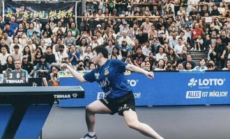 樊振东横扫豪格，赛后举动太暖心！没想到小胖又创造了欧冠新纪录