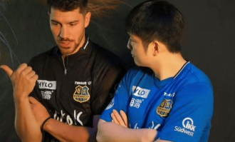 樊振东的跨国影响力：德甲掀热潮，与他成队友是德国名将高光时刻，波尔邀请过圣诞